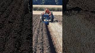 Massey Ferguson 65 Tractor with Ransomes at 2024 Southwell Ploughing Match  28th September 2024 [upl. by Anilak545]