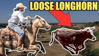 ROPING A LOOSE LONGHORN  Rodeo Time 309 [upl. by Alinoel]