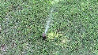 2009 Rain Bird Sprinkler System Testing For 2024 [upl. by Apoor]