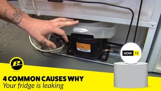 How to Fix a Leaking Fridge 4 Possible Ways [upl. by Yetta]