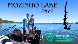 Mozingo Lake  Day 2  Kansas Buddy Bass 2024 [upl. by Briscoe]