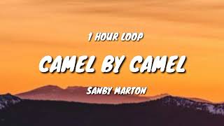 Sandy Marton  Camel by Camel 1 HOUR LOOP [upl. by Schroer]