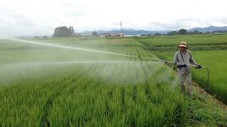 田んぼ防除2014『動力噴霧器登場です！』 Rice field disinfection Power atomizer [upl. by Ephrayim]