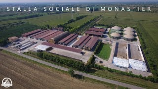 Stalla Sociale di Monastier  Official Video  ᴴᴰ [upl. by Dnaleel]