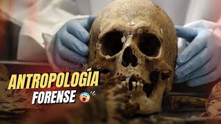 Cómo LA ANTROPOLOGÍA FORENSE puede ayudar a IDENTIFICAR RESTOS HUMANOS [upl. by Pacian]