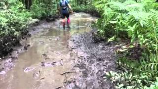 2015 Ragnar Trail Relay Appalachians Muddy Red Loop [upl. by Ahsiram]