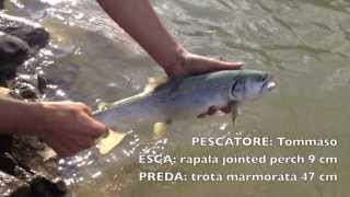 pesca a spinning trota  esche base [upl. by Lindell]