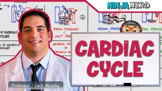 Cardiovascular  Cardiac Cycle [upl. by Eelnayr617]