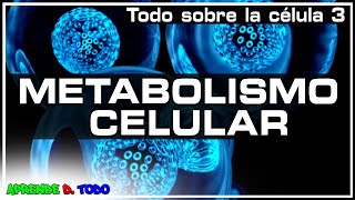 Metabolismo celular  anabolismo y catabolismo Todo sobre la Célula 3 Biología [upl. by Eelik]