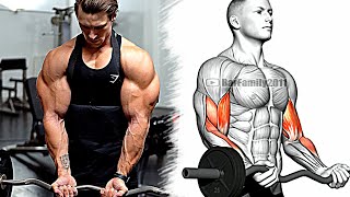 How To Build Your ARMS Fast 14 Effective Exercises for Biceps Triceps Forearms [upl. by Sigmund]