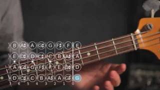 How to Play a D Note  Bass Guitar [upl. by Lapides133]