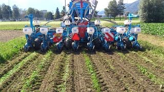 Streifenfräse Oekosem Rotor Strip Till [upl. by Airamat586]