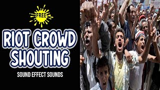 Hostile Crowd Sound Effect  Riot Crowd Shouting Sounds [upl. by Farrell]