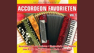 Crazy Accordeon [upl. by Etterraj122]