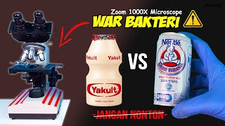 BAKTERI YAKULT vs SUSU BERUANG  Bear Brand Milk vs Yakult Microscope Zoom 1000X [upl. by Medeah787]