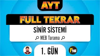 MEB Biyoloji Kitabı Sinir Sistemi Taraması F10 Full Tekrar Kampı [upl. by Anilok206]