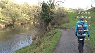 Linton to Burnsall circular walk Wharfedale Yorkshire – 20th December 2022 [upl. by Immak682]