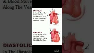 Systolic diastolic calmdown music viralshort allaboutnorcet medicaleducation norcetstudytips [upl. by Lasky]