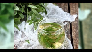 Lemon Verbena Tea Amazing 6 Benefits of This Beverage [upl. by Abbot41]