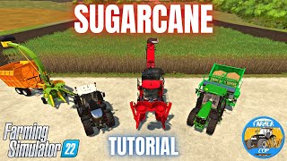 GUIDE TO GROWING SUGARCANE  Farming Simulator 22 [upl. by Nahsed279]