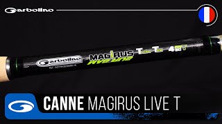 CANNE GARBOLINO MAGIRUS LIVE T [upl. by Corella]