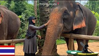 Trip to Krabi📍🇹🇭🐘 Vlog in Krabi travelling to the south of Thailand [upl. by Shandra359]