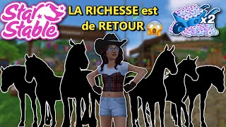 Je suis de NOUVEAU RICHE 🤑✨️ Shopping bazar 🛍  Star Stable Online [upl. by Kennith345]