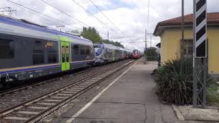 Italo treno a SMiniato [upl. by Yffub]