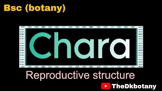 chara chlorophyceae bsc 1st year 2 sem botany l algae member । chara [upl. by Ylagam]