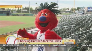 Stockton Ports [upl. by Margette820]