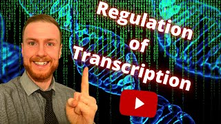 The REGULATION of TRANSCRIPTION and TRANSLATION AQA ALevel Biology [upl. by Blisse]