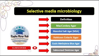 Selective media microbiology culturemedia laboratory microbiology lecture [upl. by Idihc514]