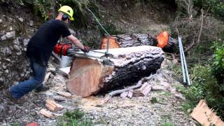 How to mill a tree using an Alaskan Chainsaw mill [upl. by Esinaej]