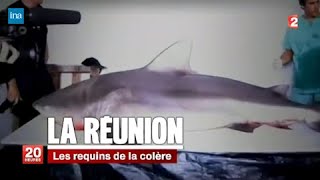 🇷🇪 🦈 ARCHIVES CriseRequin  Les requins de la colère  11102011 [upl. by Eivi]