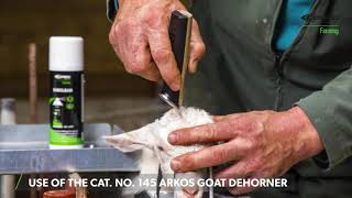 Use of the Cat No 145 arkos goat dehorner by Express Farming [upl. by Russel]