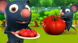 Chuha Aur Tamatar 3D Animated Hindi Moral Stories for Kids चूहा और टमाटर Rat Panchatantra Tales [upl. by Dukie]