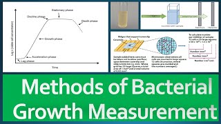 Growth Measurement Methods [upl. by Eirojam]