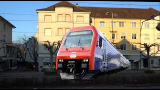 Zug Mitfahrt Zürich  Uitikon Küsnacht ZHErlenbach ZH [upl. by Zysk]