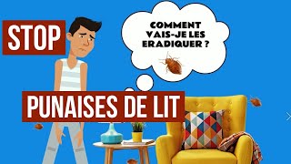 Comment se débarrasser des punaises de lit soimême  Les astuces dexperts de lutte antinuisibles [upl. by Filmore]