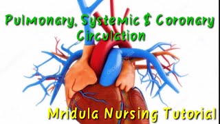 Circulation Systemicpulmonary and Coronary Circulation of the heart [upl. by Nadnerb946]