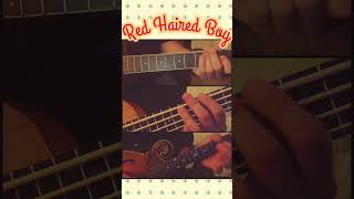 Red Haired Boy  Mandolin Cover [upl. by Coffey]