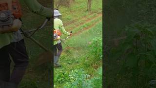 Brush cutter weeder gardening [upl. by Hteb714]