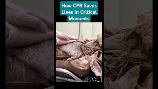 How CPR Saves Lives in Critical Moments knowledge heartanatomy [upl. by Mandeville]