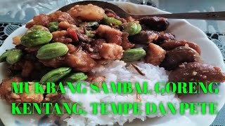 MUKBANG SAMBAL GORENG KENTANG TEMPE DAN PETE [upl. by Chisholm]