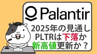 2025年のパランティア株の見通し。パランティア株は下落するのか、それとも新たな高値を更新し続けるのか？【20241019】 [upl. by Hannie368]