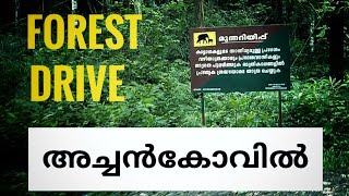 Achankovil Forest Drive  Most scenic and dangerous forest route in kollam  Best road trip [upl. by Ellehc]