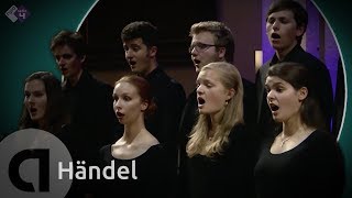 European Union Baroque Orchestra  Händel Conc Gr Op 3 nr 2 Ode for the Birthday of Queen Anne [upl. by Evadnee]