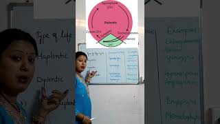 shortsAlternation of generation and types of life cycle in plants class11neetBscbio [upl. by Mcdougall]