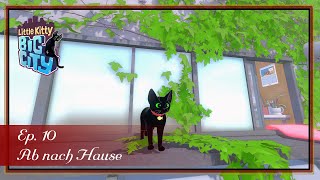 Little Kitty Big City  Ep 10  Ab nach Hause [upl. by Craddock]