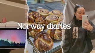 Norway diaries  weekend vlog groceriesgrwmshoppingskincare amp northernlights✨ Living in Norway [upl. by Akehsay]